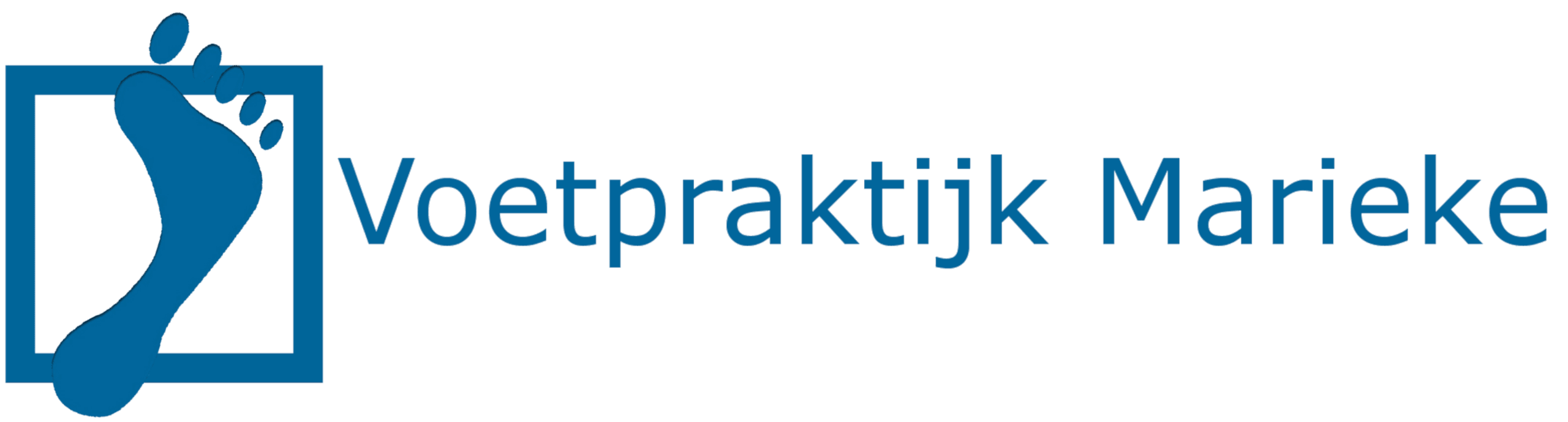 Logo website